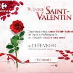 une rose gratuite le 14 fevrier chez carrefour (hypermarche)