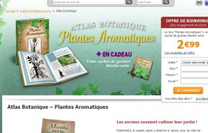 plantes aromatiques