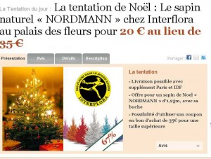 Paris 15eme : Sapin de noel Nordmann pour 20 euros