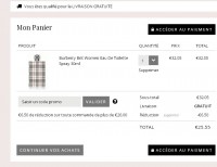 Eau de toilette Burberry Brit 50ml pour femmes à 25.5 euros port inclus