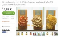 Un cadeau original en promo : un kit pour faire pousser des champignons chez soi