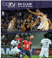 Gratuit ! les chaines Beinsport du 12 au 16 mars sur freebox