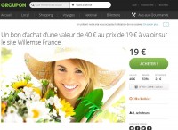 Bonne affaire jardinage : 15.2 euros le bon d’achat de 40 à utiliser chez willemse