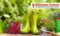 Bon plan Willemse  : 50% de réduction sur un bon d’achat de 40€