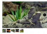 Planet exotica Royan pas cher  : réduction sur les billets