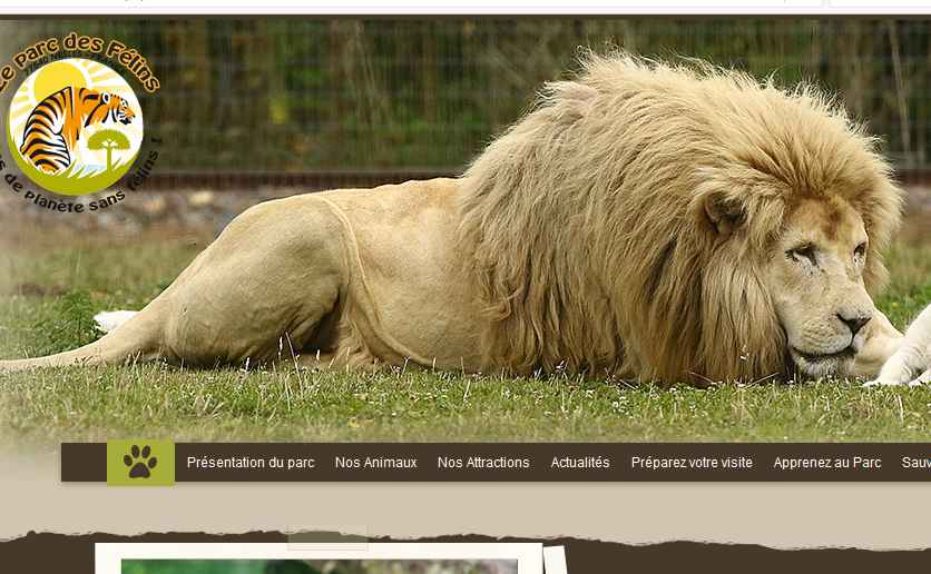 Parc des Felins : billets moins chers
