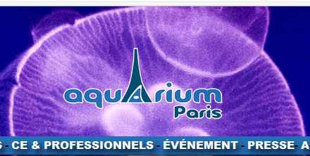aquarium de paris