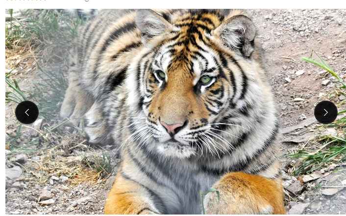 parc zoologique frejus