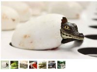 Réduction  Ferme aux Crocodiles pas cher : billets à 8.8€ et 13.6€  (au lieu de 11.5 et 17.5€)