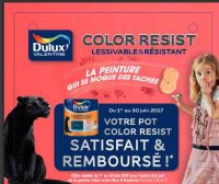 peinture color resist