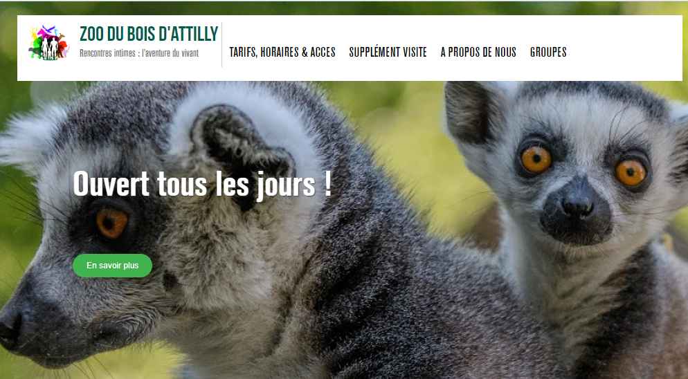 zoo bois d'attilly