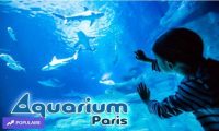 Réduction Aquarium de Paris : billets pas chers à partir de 16.4€ ( visite nocturne + boisson )