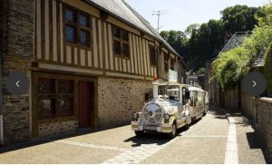 petit train de fougères