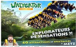 walygator grand est