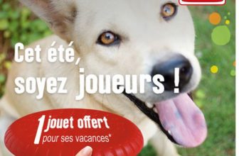 maxi zoo jouet offert