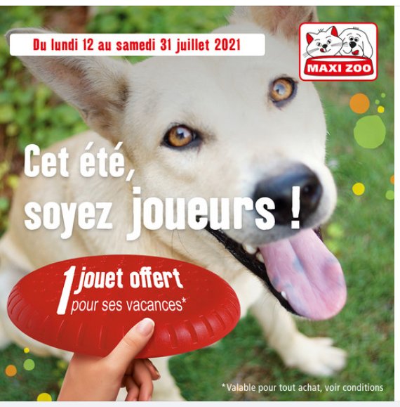maxi zoo jouet offert