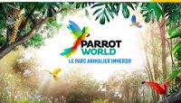 parrot world