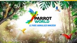 parrot world