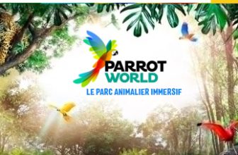 parrot world