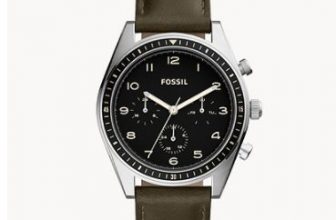 fossil wilkin