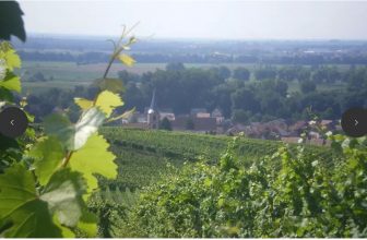 domaine dischler
