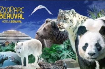 réduction séjours au zoo parc de beauval