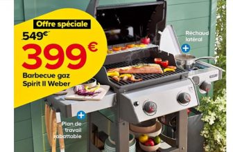 barbecue gaz weber