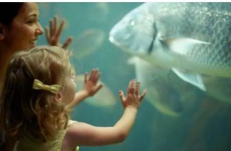 pass annuel aquarium paris