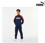 survement puma