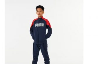 survement puma