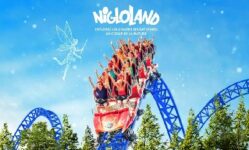 nigloland reduction