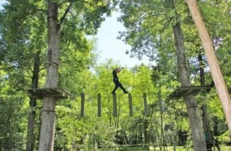 accrobranche la gataudiere