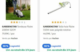 auchan jardin
