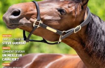 cheval magazine