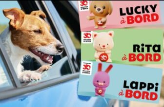 stickers personnalise