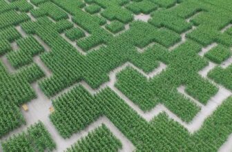 popcorn labyrinthe thelus