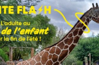 vente flash parc