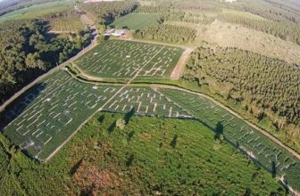 popcorn labyrinthe guerande