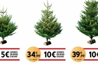 sapin intermarche