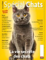 magazine special chats