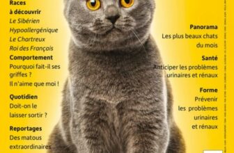 magazine special chats