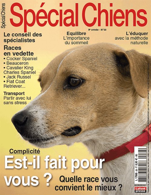 special chiens