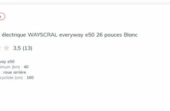 wayscral destockage