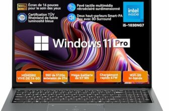 pcportable blackview