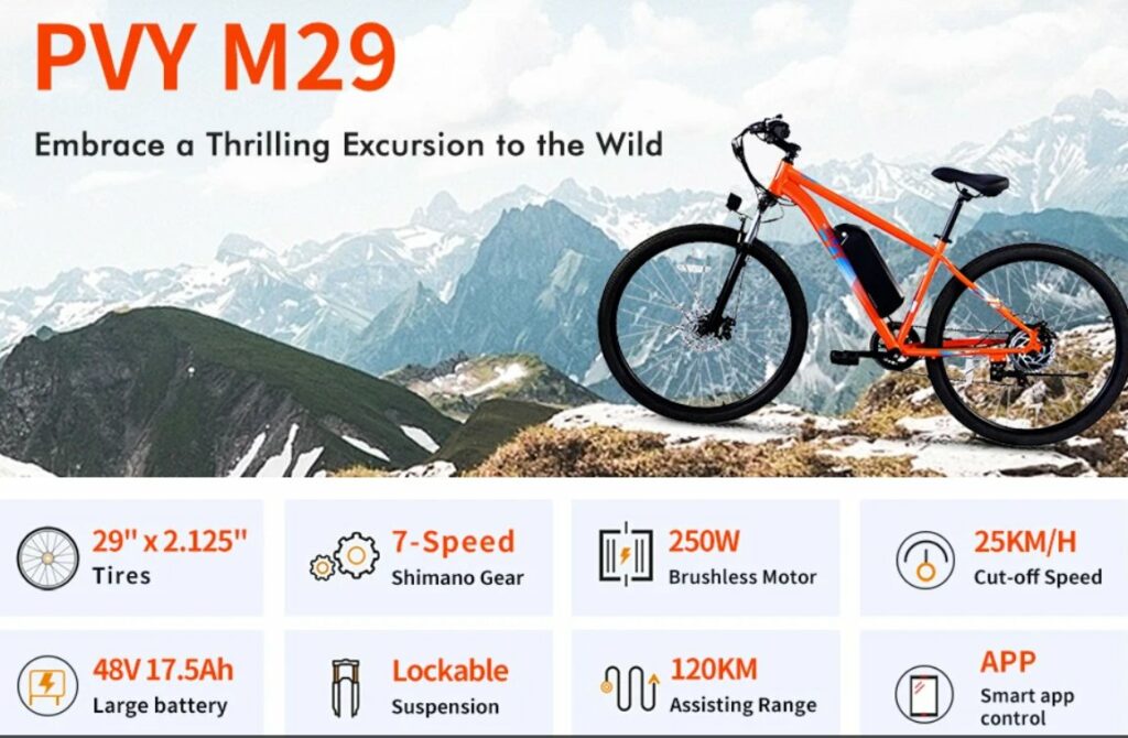 pvy m29 caracteristiques