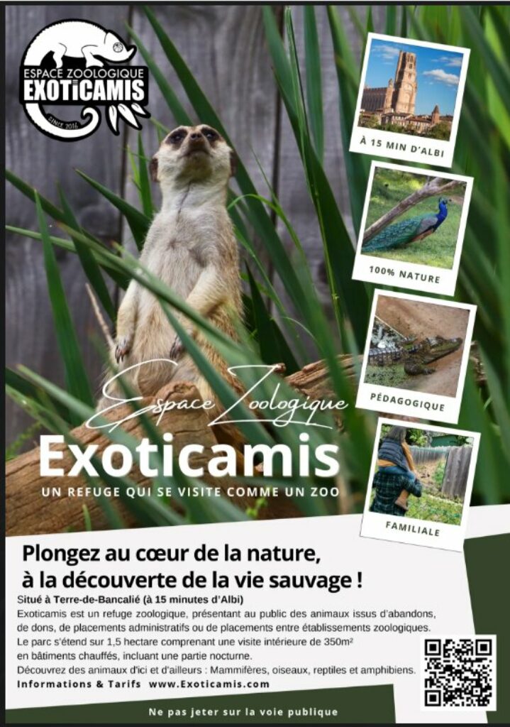 exoticamis