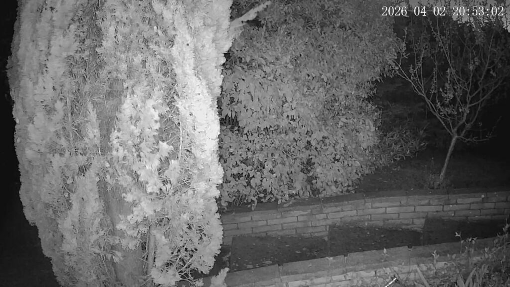 camera vision infrarouge