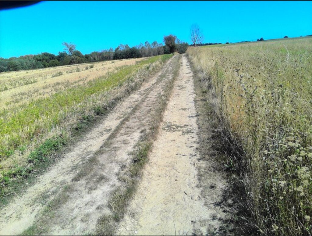 photo chemin