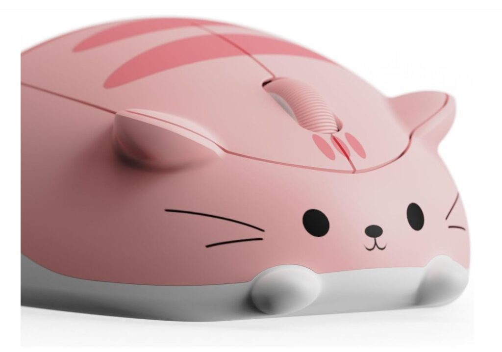 akko souris chat