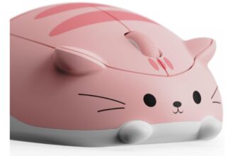 akko souris chat